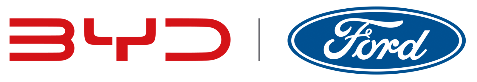 Ford / BYD Logo